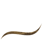 Tischlerei & Design Maximilian Spanier - Logo